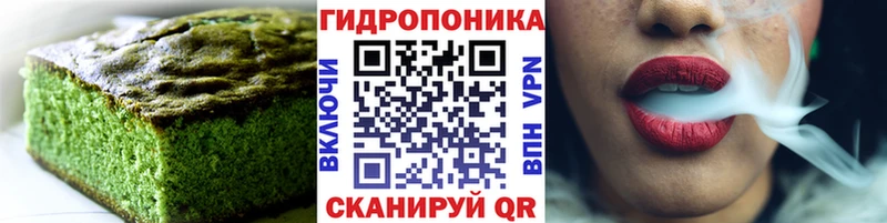Cannafood марихуана  как найти закладки  гидра маркетплейс  Новая Ладога 