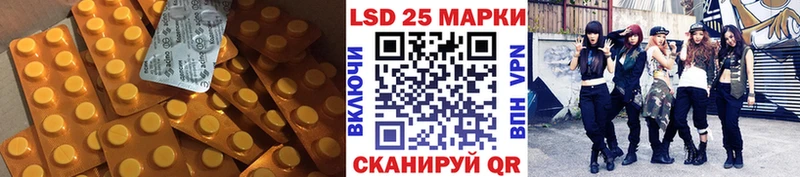 ЛСД экстази кислота  блэк спрут как зайти  Новая Ладога 