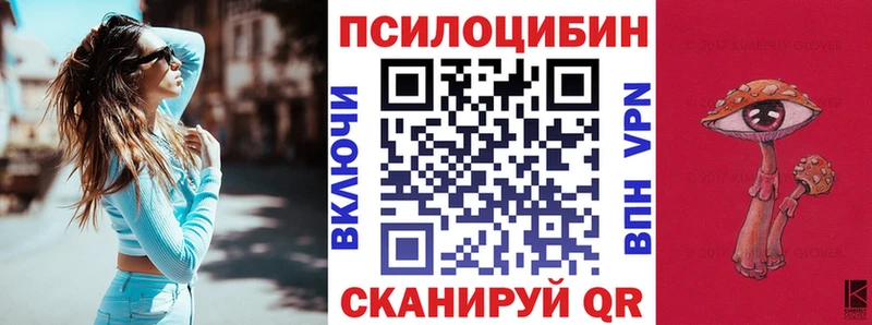 Псилоцибиновые грибы Psilocybine cubensis  купить  цена  Новая Ладога 
